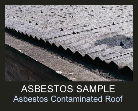 Asbestos Roof Sample