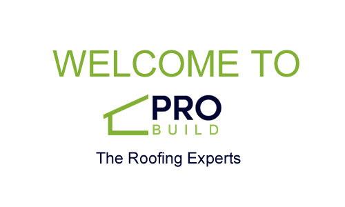 The Brisbane Roofing Experts